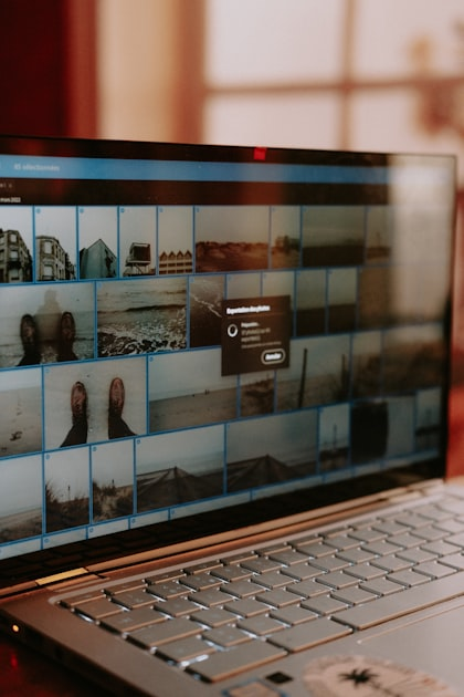 The Future of WordPress Plugins